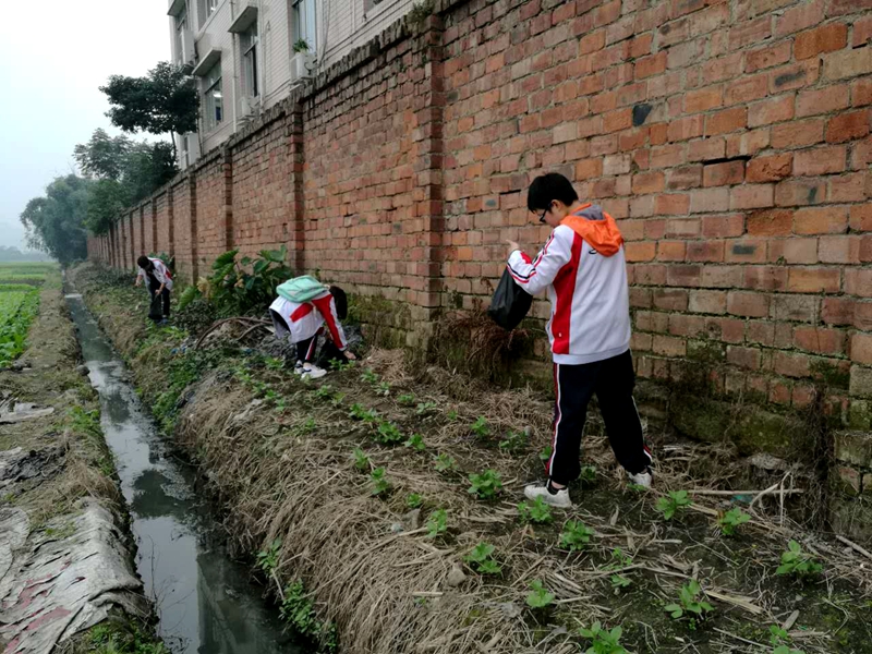 1479177440251639.jpg 02.JPG