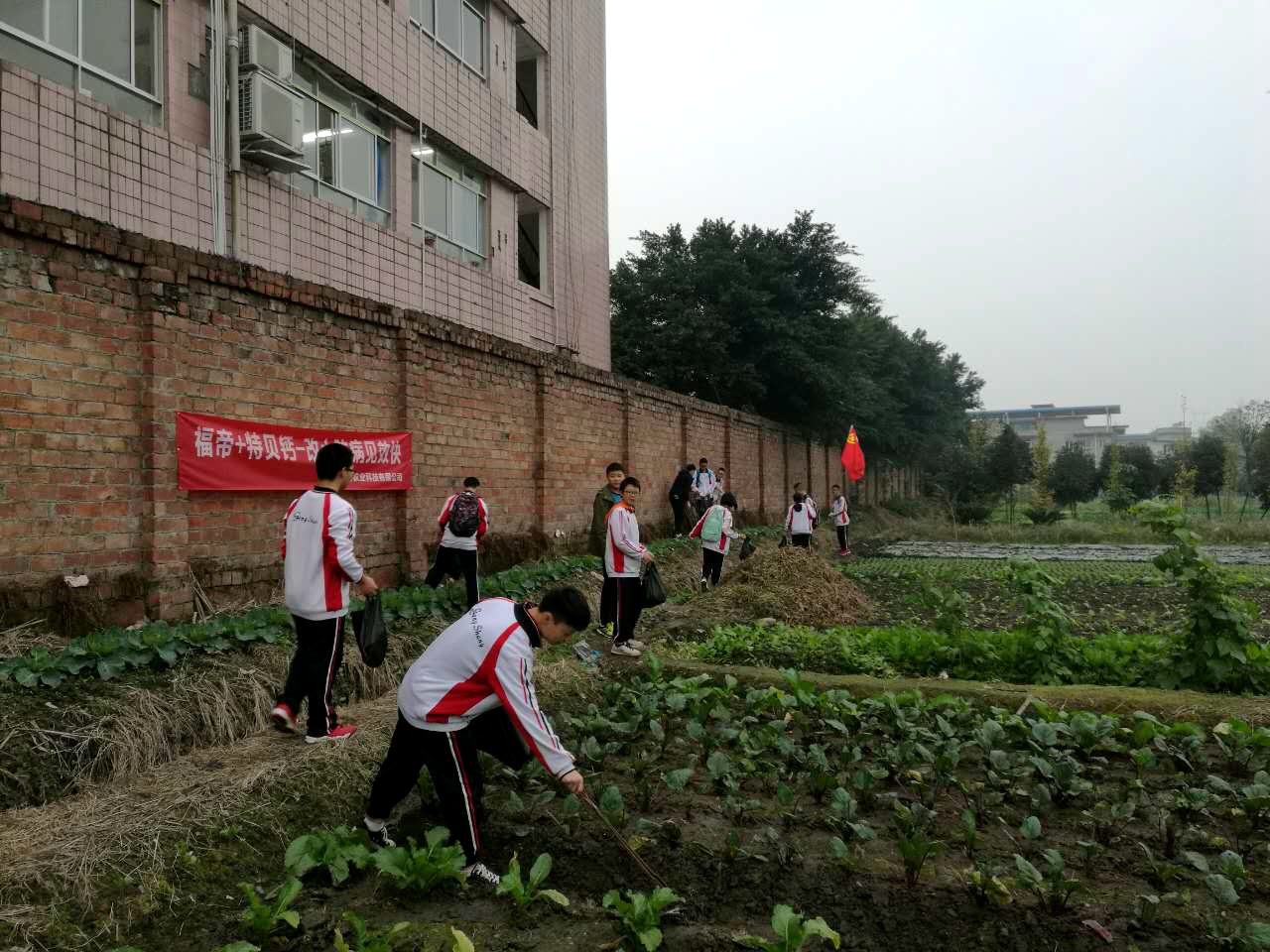 1479177462446146.jpg 04.JPG