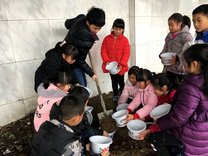 1489623672521309.jpg 01.JPG