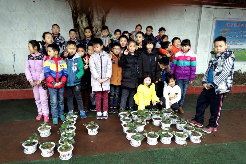 1489623702434326.jpg 03.JPG