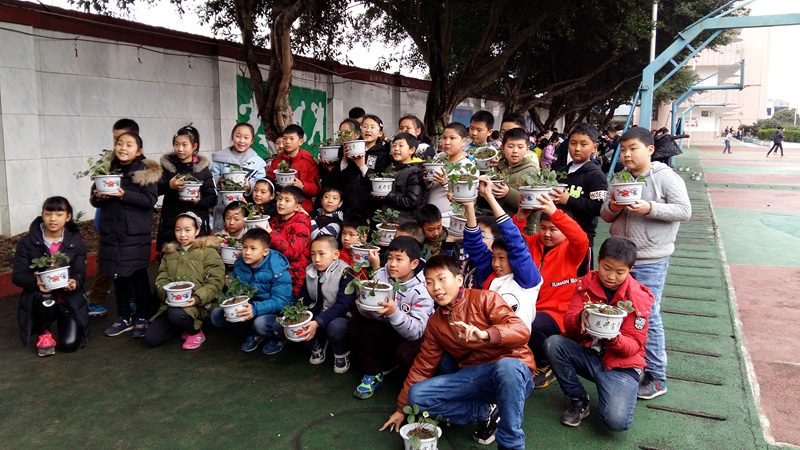 1489623712101474.jpg 04.JPG