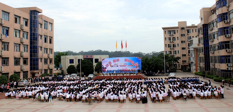 1495613962859615.jpg 01.JPG