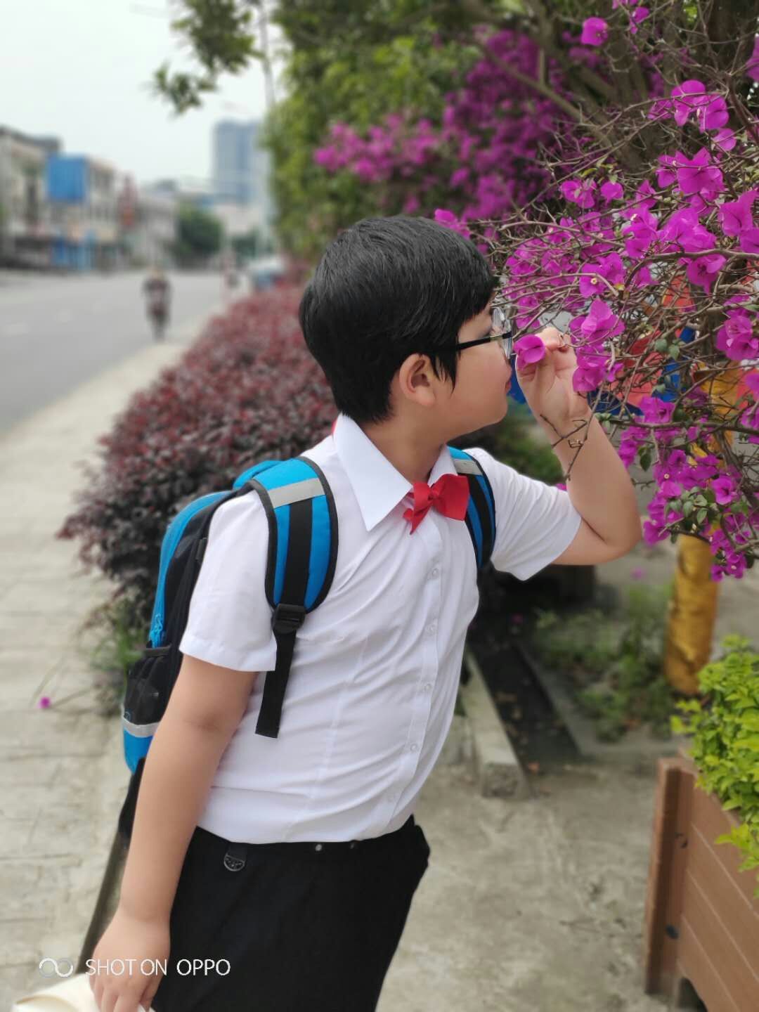 1559290015136754.jpg QQ图片20190531160919.jpg